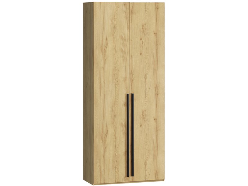Распашной шкаф Кимбол 2-100x240 Дуб Золотистый