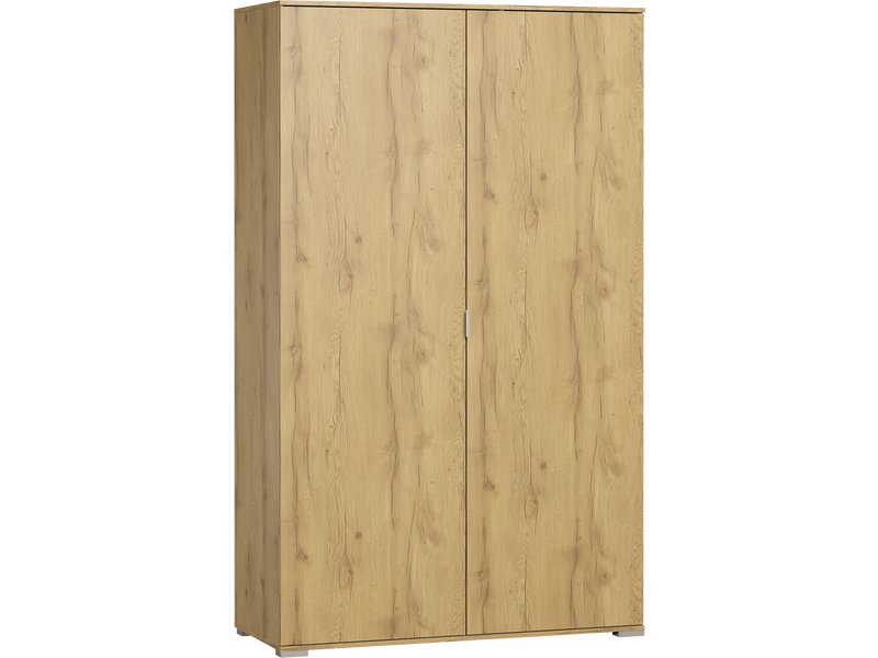 Распашной шкаф Стелла 2-120x220 Дуб Золотистый