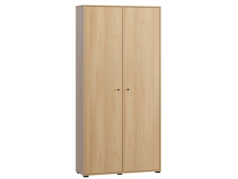 Распашной шкаф Сайрис 2-98x202 Дуб Барбера